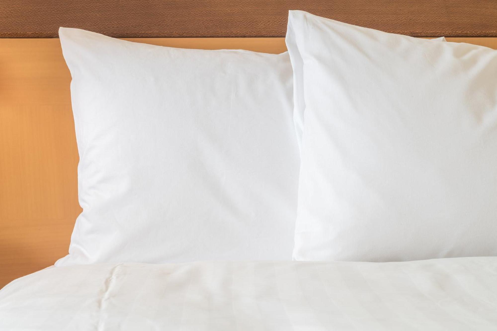 Holiday Inn Express Hotel & Suites Fort Collins By Ihg Εξωτερικό φωτογραφία